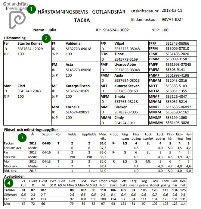 Bild från sidan Härstamningsbevis