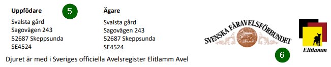 Bild från sidan Härstamningsbevis
