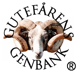 Bild från sidan Föreningen Gutefåret